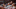 feucht_header